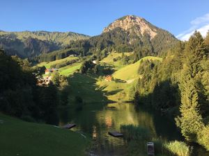 Seewaldsee
