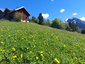 sommer
