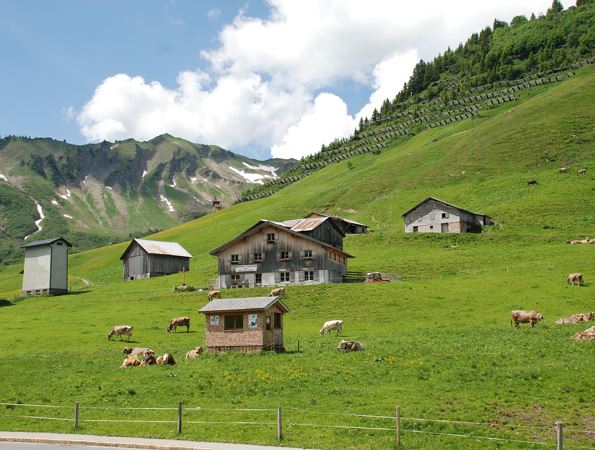 Alpe Tiefenwald
