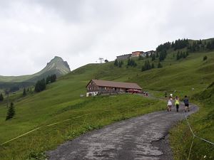 Alpe Elsen