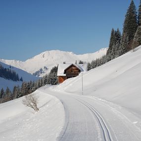 Damüls | Langlaufloipe Unterdamüls